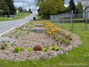 a residential area bioswale with mulch and plantings